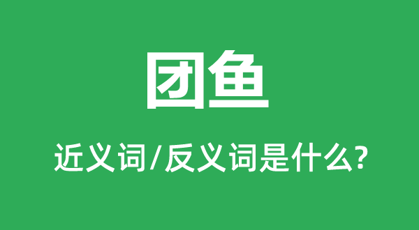 甲鱼的近义词和反义词是甚么,甲鱼是甚么意义