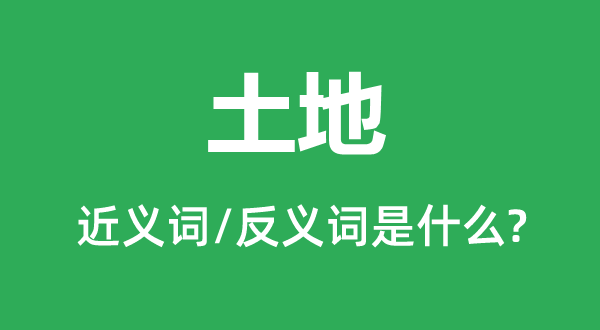 地皮的近义词和反义词是甚么,地皮是甚么意义