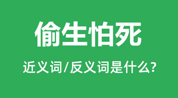 偷恐怕死的近义词和反义词是甚么,偷恐怕死是甚么意义