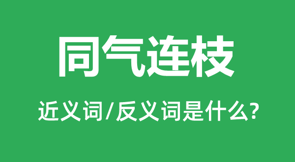 手足同心的近义词和反义词是甚么,手足同心是甚么意义