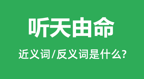 任天由命的近义词和反义词是甚么,任天由命是甚么意义
