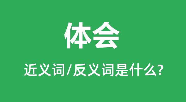 体味的近义词和反义词是甚么,体味是甚么意义