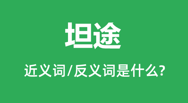 坦途的近义词和反义词是甚么,坦途是甚么意义