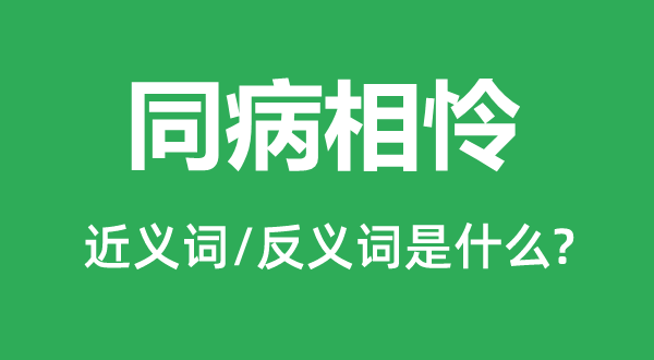 惺惺相惜的近义词和反义词是甚么,惺惺相惜是甚么意义