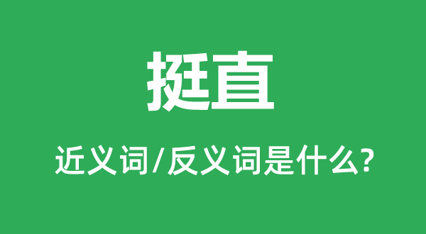 挺直的近义词和反义词是甚么,挺直是甚么意义