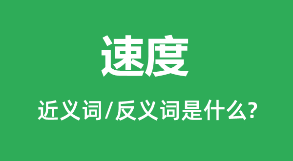 速率的近义词和反义词是甚么,速率是甚么意义