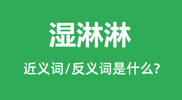 湿漉漉的近义词和反义词是甚么,湿漉漉是甚么意义