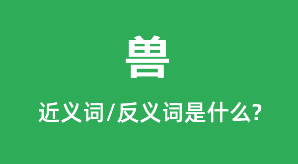 兽的近义词和反义词是甚么,兽是甚么意义
