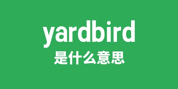 yardbird是甚么意义