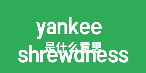 yankee shrewdness是甚么意义