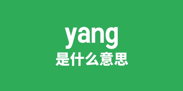 yang是甚么意义