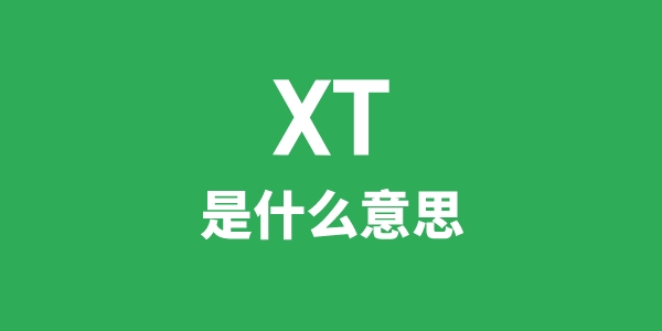 XT是甚么意义