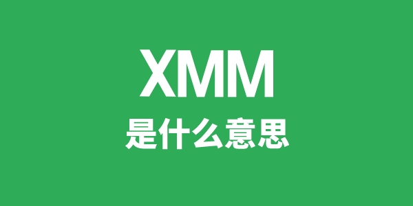 XMM是甚么意义
