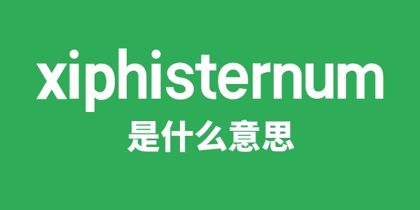 xiphisternum是甚么意义