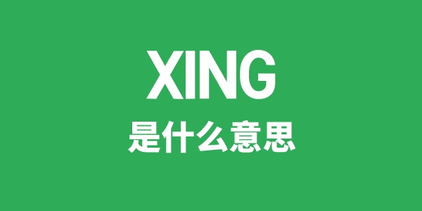 XING是甚么意义