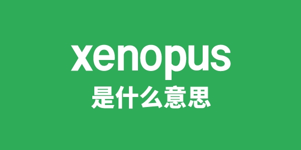 xenopus是甚么意义