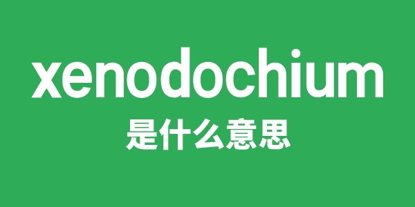 xenodochium是甚么意义
