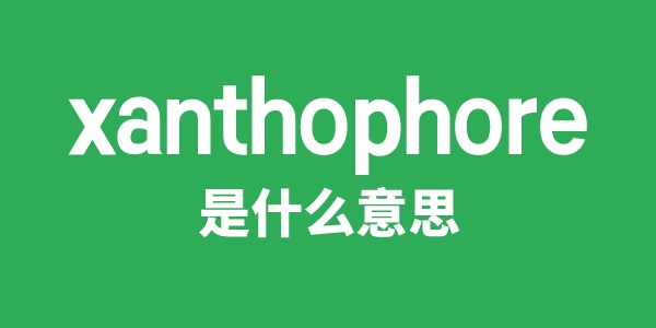 xanthophore是甚么意义