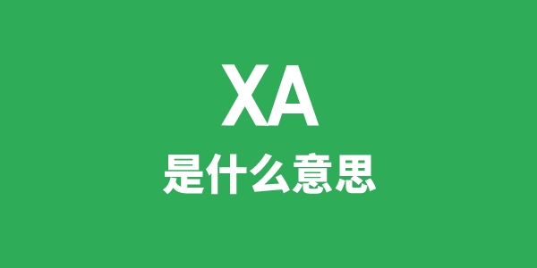 XA是甚么意义