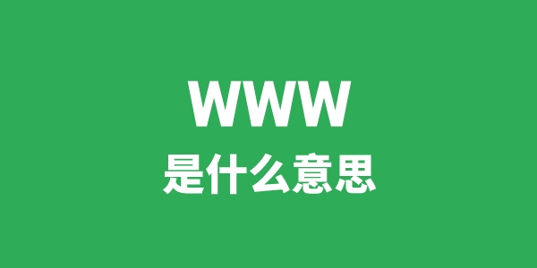www是甚么意义
