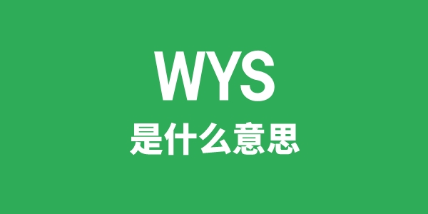 WYS是甚么意义