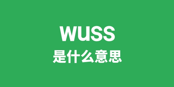 wuss是甚么意义