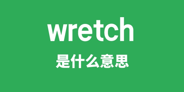 wretch是甚么意义
