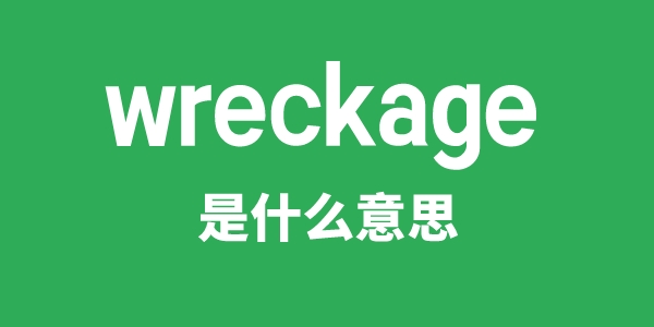 wreckage是甚么意义