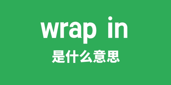 wrap in是甚么意义