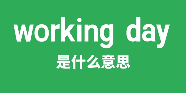 working day是甚么意义