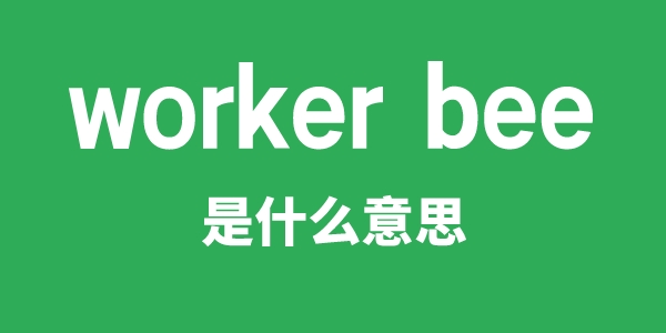 worker bee是甚么意义