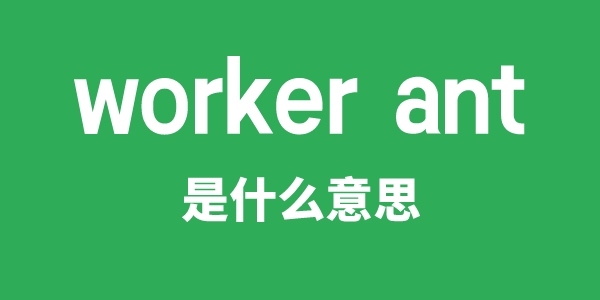 worker ant是甚么意义