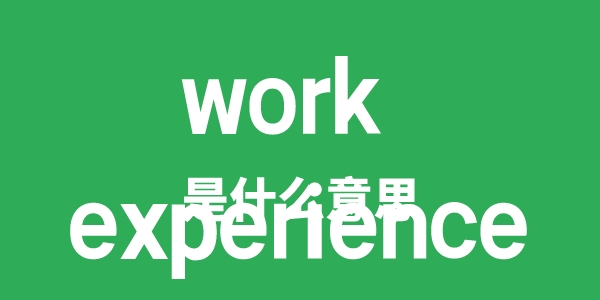 work experience是甚么意义