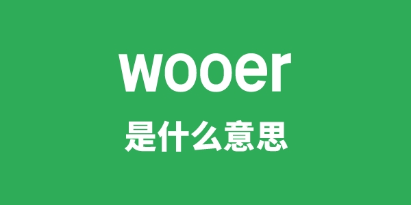 wooer是甚么意义