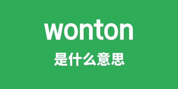 wonton是甚么意义