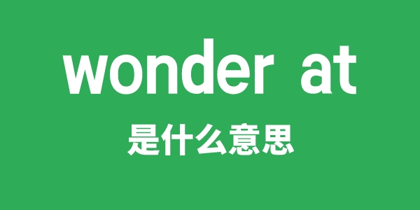 wonder at是甚么意义