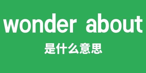 wonder about是甚么意义