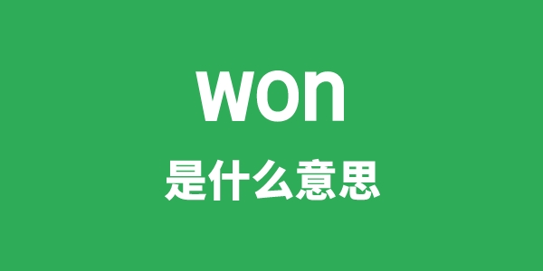 won是甚么意义