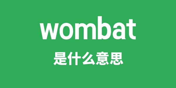 wombat是甚么意义