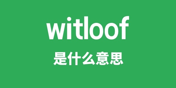 witloof是甚么意义