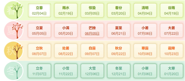 本年是甚么年,2028年属甚么生肖