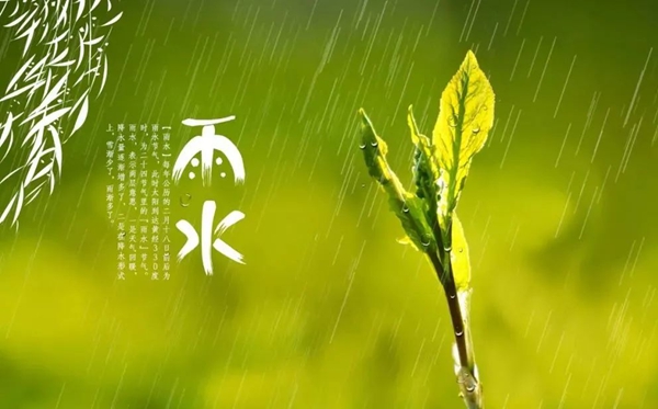 雨水骨气的寄义是甚么,雨水骨气的特色和风尚简介