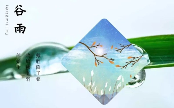 谷雨骨气的寄义是甚么,谷雨骨气的特色和风尚简介