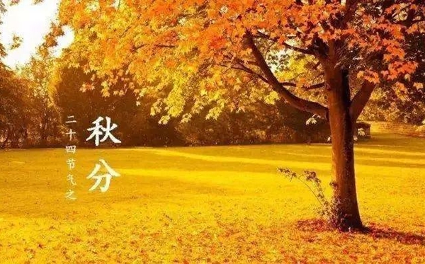 秋分骨气的寄义是甚么,秋分骨气的特色和风尚简介