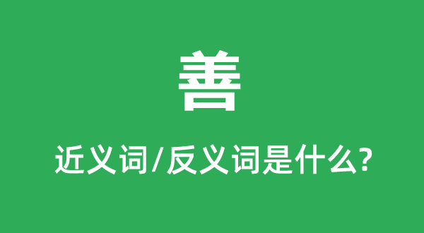 善的近义词和反义词是甚么,善是甚么意义