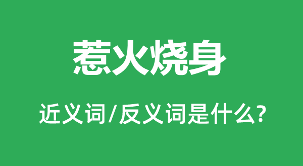 招灾肇事的近义词和反义词是甚么,招灾肇事是甚么意义