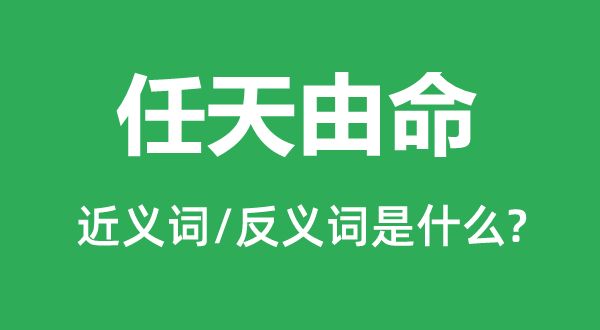听天由命的近义词和反义词是甚么,听天由命是甚么意义