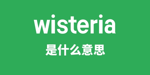 wisteria是甚么意义