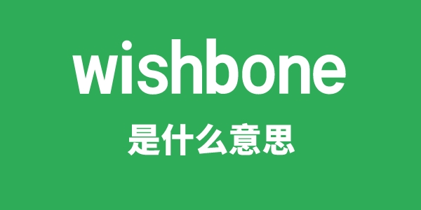 wishbone是甚么意义