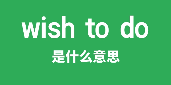 wish to do是甚么意义